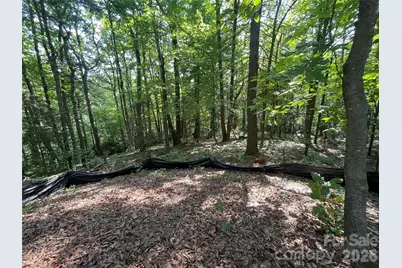 Lot # 21 Haverhill Court, Flat Rock, NC 28731 - Photo 24