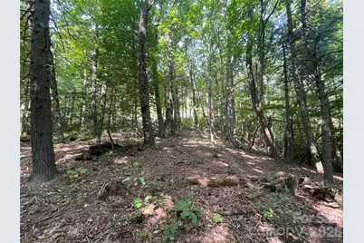 Lot # 21 Haverhill Court, Flat Rock, NC 28731 - Photo 14