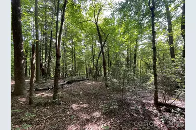 Lot 20 Haverhill Court #20, Flat Rock, NC 28731 - Photo 8