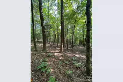 Lot 20 Haverhill Court #20, Flat Rock, NC 28731 - Photo 6