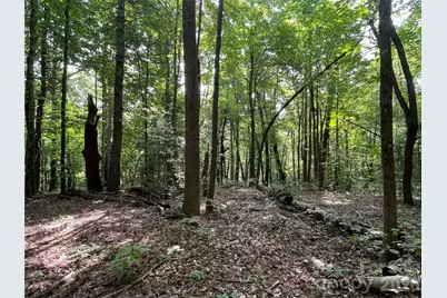 Lot 20 Haverhill Court #20, Flat Rock, NC 28731 - Photo 20