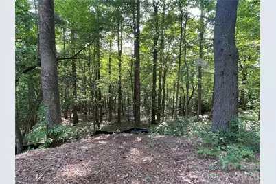 Lot 20 Haverhill Court #20, Flat Rock, NC 28731 - Photo 24