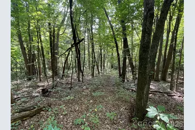 Lot 20 Haverhill Court #20, Flat Rock, NC 28731 - Photo 16