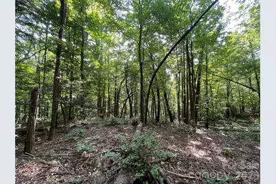 Lot 20 Haverhill Court #20, Flat Rock, NC 28731 - Photo 10