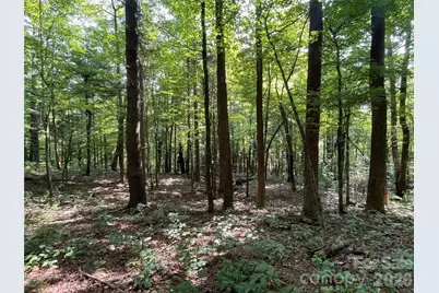 Lot 20 Haverhill Court #20, Flat Rock, NC 28731 - Photo 22