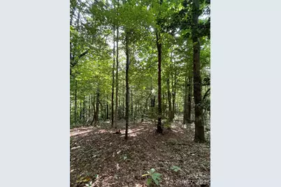 Lot 20 Haverhill Court #20, Flat Rock, NC 28731 - Photo 18