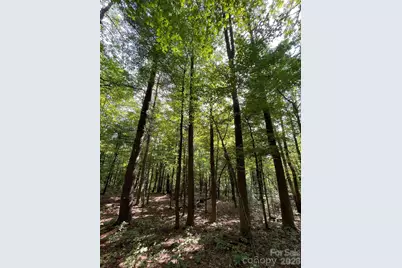 Lot 20 Haverhill Court #20, Flat Rock, NC 28731 - Photo 2