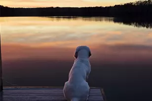 5401 Mountain Point Ln, Charlotte, NC 28216 - Photo 48