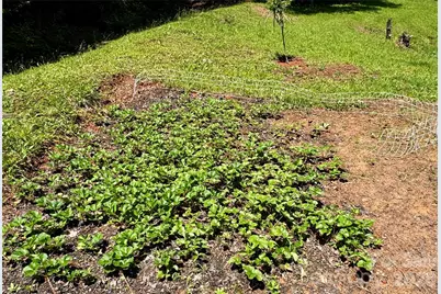 2050 Blowing Rock Boulevard, Lenoir, NC 28645 - Photo 38