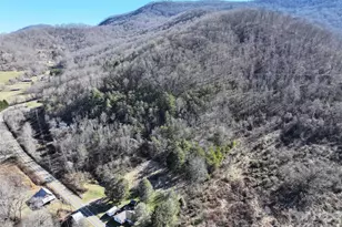 1906 & Tract 1 Ratcliff Cove Rd, Waynesville, NC 28786 - Photo 28