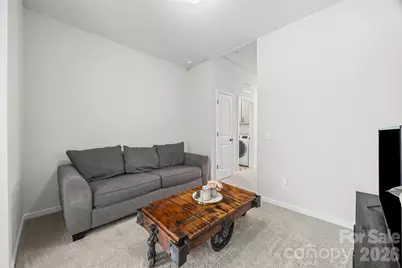 285 Brooks Springs Drive, Fort Mill, SC 29708 - Photo 20