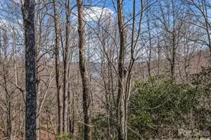 177 Tsisqua Cir, Brevard, NC 28712 - Photo 24