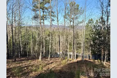 338 Grandview Peaks Drive #36, Nebo, NC 28761 - Photo 6