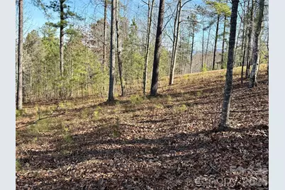 338 Grandview Peaks Drive #36, Nebo, NC 28761 - Photo 4