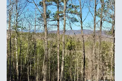 338 Grandview Peaks Drive #36, Nebo, NC 28761 - Photo 8