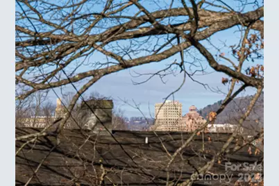 45 Olive Street, Asheville, NC 28801 - Photo 34