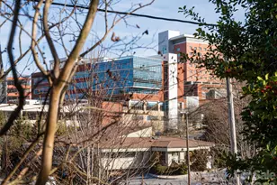 45 Olive St, Asheville, NC 28801 - Photo 32