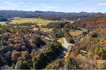 106 Avian Court, Brevard, NC 28712 - Photo 42