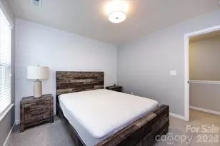 11033 Hat Creek Ln, Davidson, NC 28036 - Photo 38