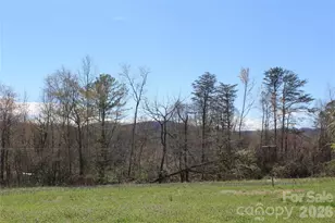 316 Drexel Rd, Morganton, NC 28655 - Photo 4