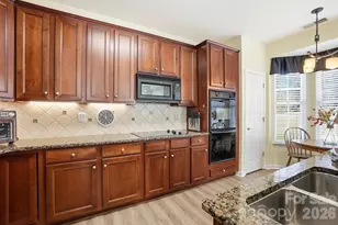 1667 Onyx Ridge, Fort Mill, SC 29708 - Photo 10