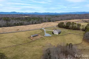 398 Dave Sims Rd, Rutherfordton, NC 28139 - Photo 42