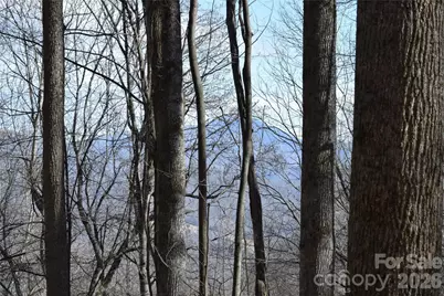 417& 418 Multiflora Way #417&418, Waynesville, NC 28785 - Photo 2