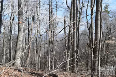 417& 418 Multiflora Way #417&418, Waynesville, NC 28785 - Photo 6