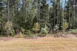 2028 Skyhawk Drive, York, SC 29745 - Photo 12