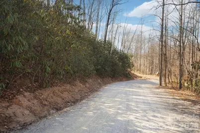 000 Bee Tree Road #103B, Swannanoa, NC 28778 - Photo 2