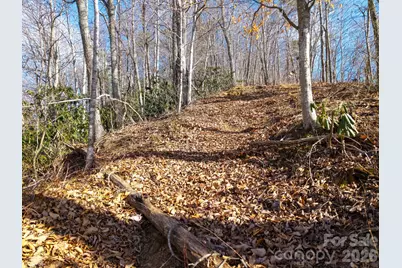 000 Bee Tree Road #103B, Swannanoa, NC 28778 - Photo 16