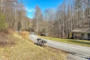 229 Medford Hannah Rd, Waynesville, NC 28785 - Photo 30