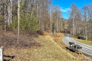 229 Medford Hannah Rd, Waynesville, NC 28785 - Photo 32