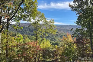 225 Oak Rd, Beech Mountain, NC 28604 - Photo 2