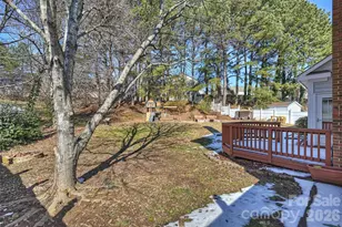 111 Red Tip Ln, Mooresville, NC 28117 - Photo 46