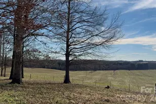 144 & 179 J and W Dr, Olin, NC 28660 - Photo 32