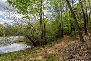 13417 Scanlan Way, Davidson, NC 28036 - Photo 48