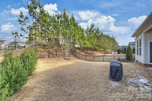 3066 Lydney Cir, Waxhaw, NC 28173 - Photo 34