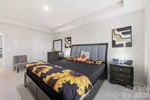 6029 Chelsea Oaks Rdg, Fort Mill, SC 29708 - Photo 18