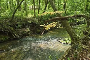 3408 Araglin Dr, Gastonia, NC 28056 - Photo 44