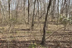 3408 Araglin Dr, Gastonia, NC 28056 - Photo 44