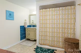 44 Presbyterian Church Rd, Mills River, NC 28759 - Photo 16