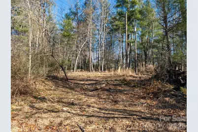 44 Presbyterian Church Road, Mills River, NC 28759 - Photo 38