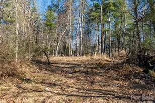 44 Presbyterian Church Rd, Mills River, NC 28759 - Photo 38