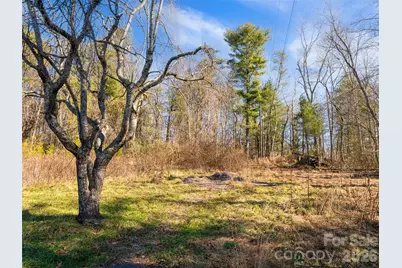 44 Presbyterian Church Road, Mills River, NC 28759 - Photo 36