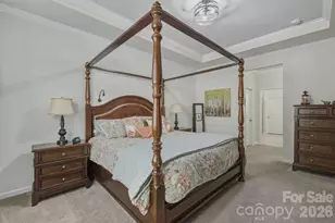 10038 Sweetbriar Rose Ct, Huntersville, NC 28078 - Photo 16