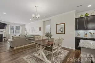 10038 Sweetbriar Rose Ct, Huntersville, NC 28078 - Photo 8