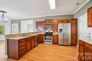 174 Springfield Meadow Dr, Etowah, NC 28729 - Photo 18