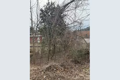 33 Johnson Drive #1, Asheville, NC 28804 - Photo 1