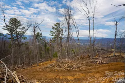 99999 Elk Mountain Scenic Highway #2, Asheville, NC 28804 - Photo 14